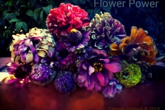 Flower Power Bold Beauty