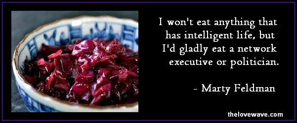 Red cabbage and onion