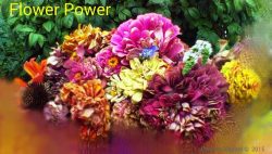 flower power too