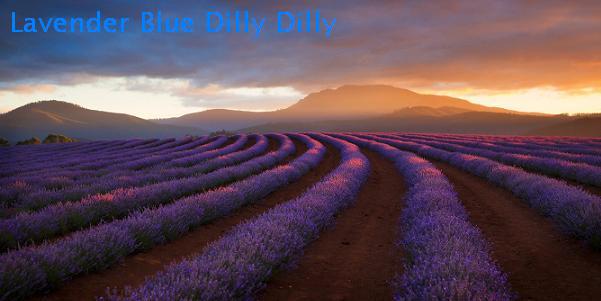 lavender blue dilly dilly